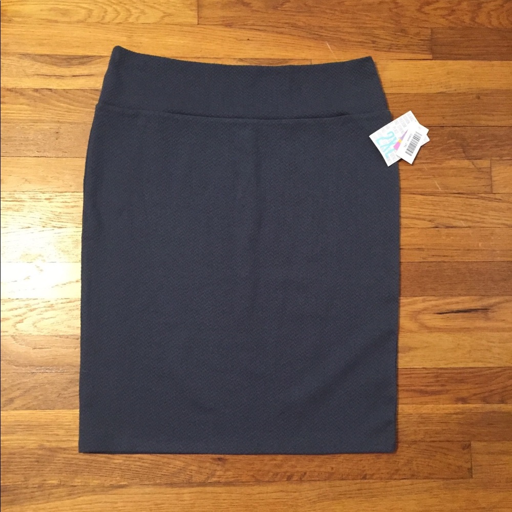 BNWT Gray LuLaRoe Cassie Skirt